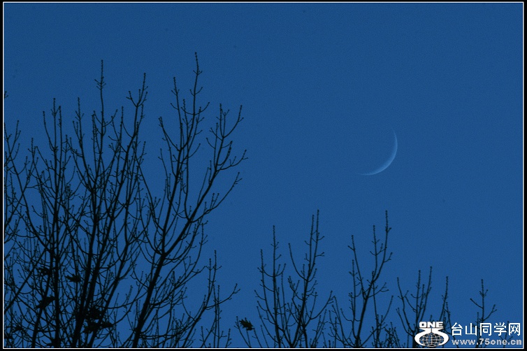 DSC_8681.jpg