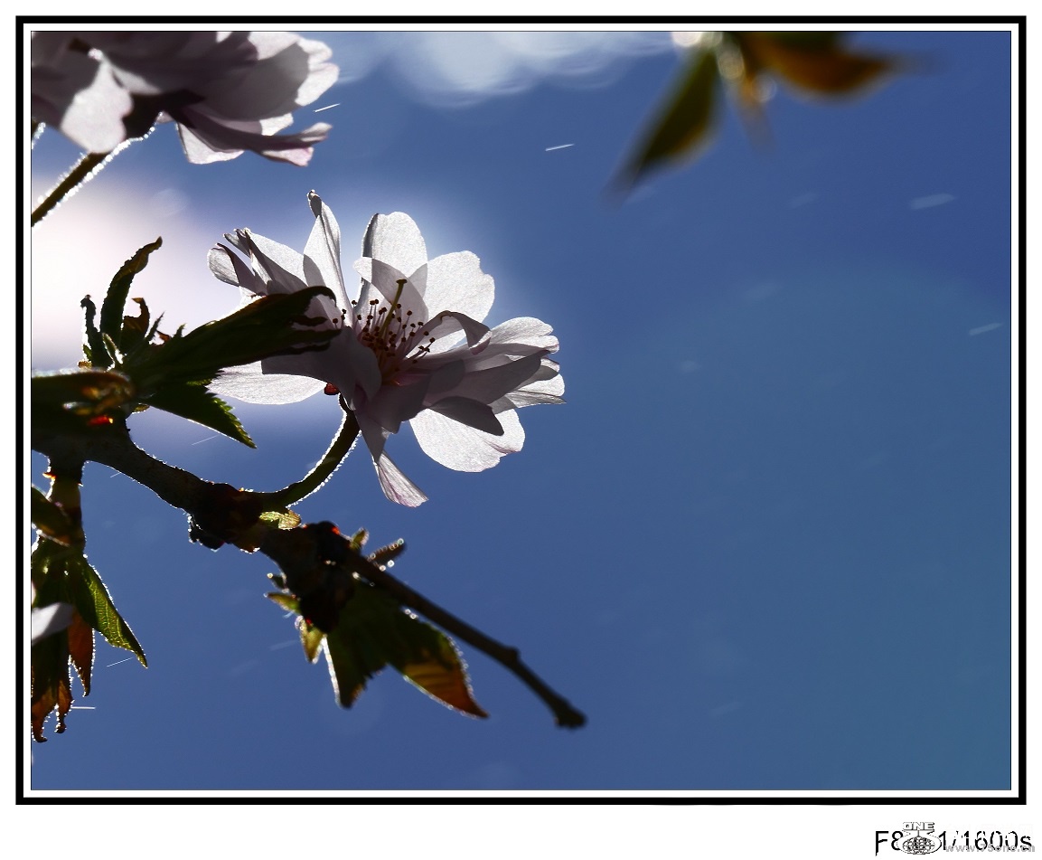 l2740627_conew1.jpg