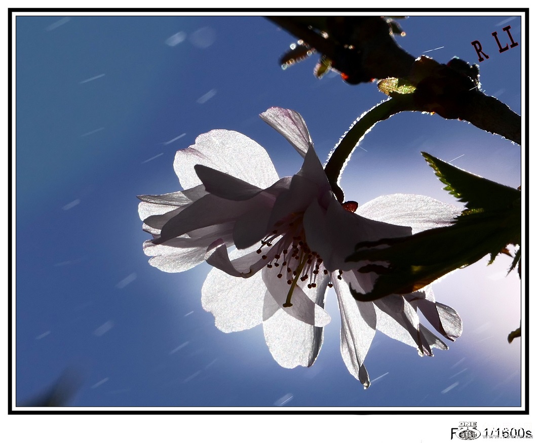 l2740628_conew1.jpg