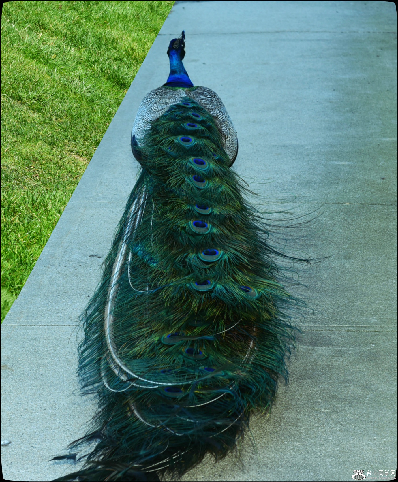 DSC_6930.JPG