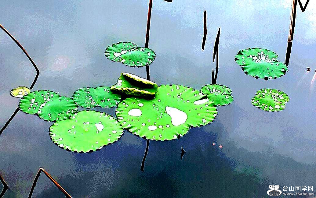 2016-04-23 00.02.47.jpg