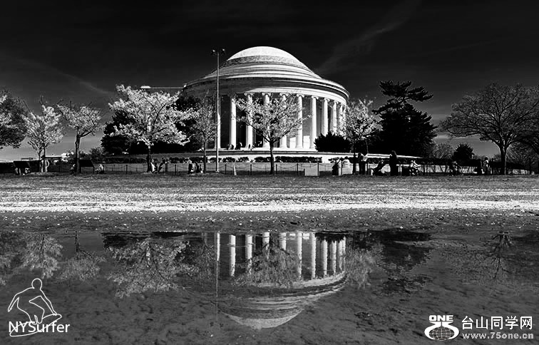 DSC_11669 (1).jpg