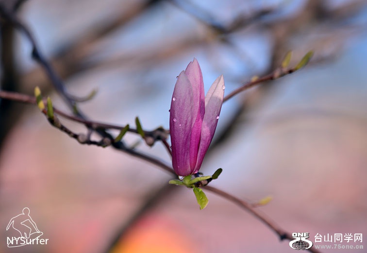 DSC_01258.jpg