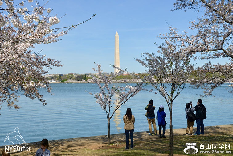 DSC_11659.jpg