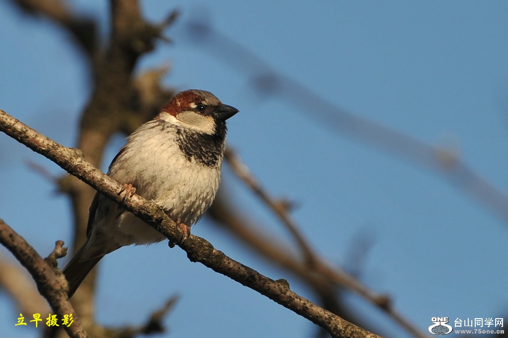 DSC_1980.JPG