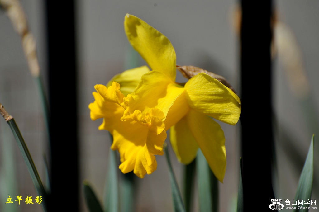 DSC_1935.JPG