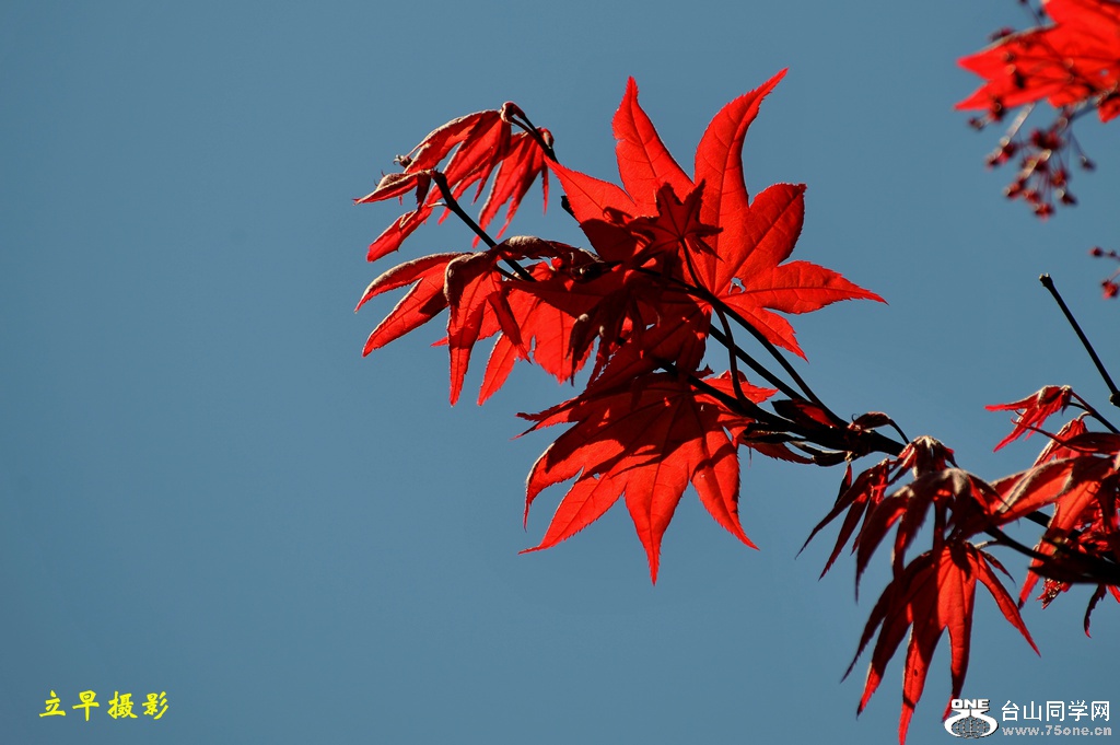 DSC_2028.JPG