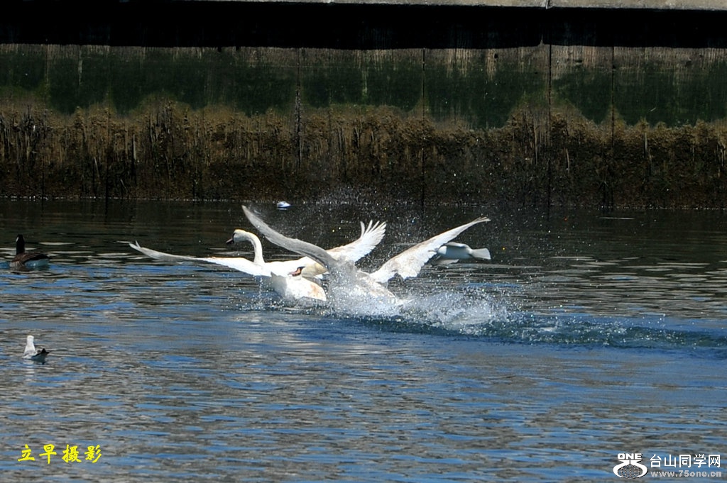 DSC_2068.JPG