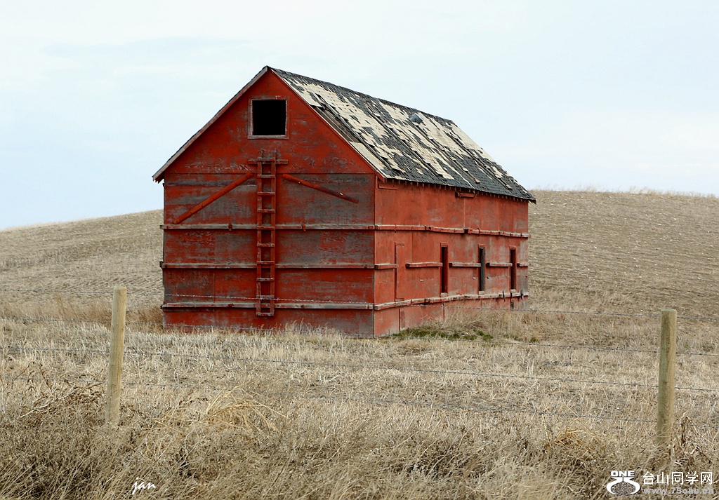 IMG_6998.JPG