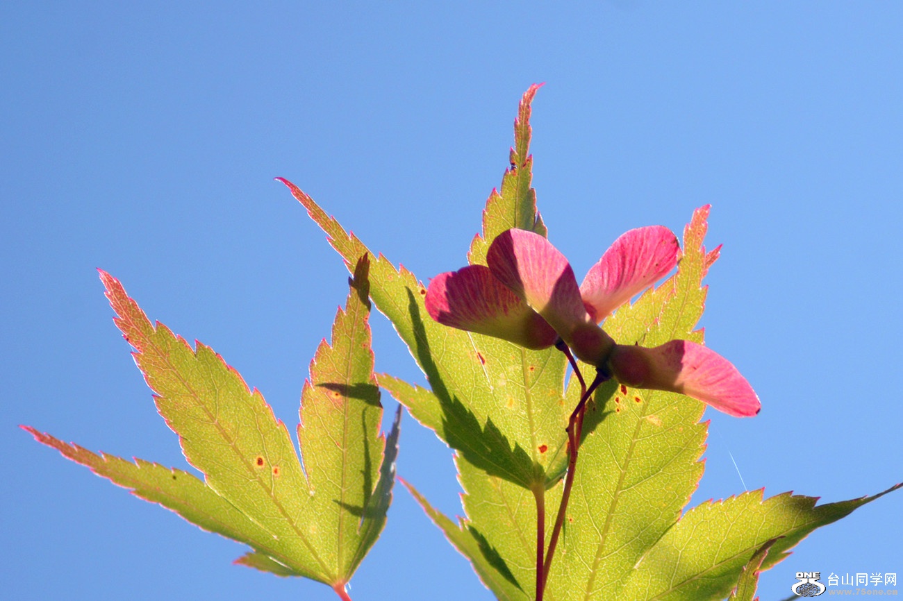 DSC_6456_33.jpg