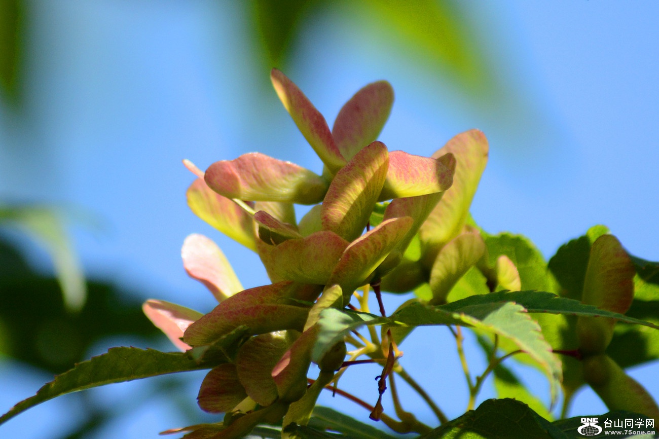 DSC_6531_13.jpg