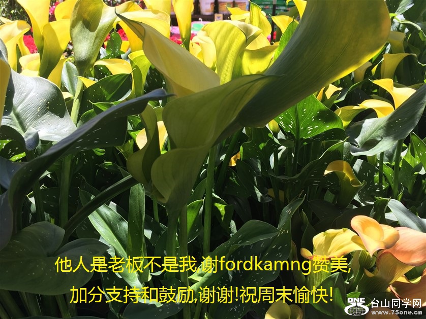 ϰ岻,лfordkamng,ӷֺ֧͹,лл!ףĩ!.jpg