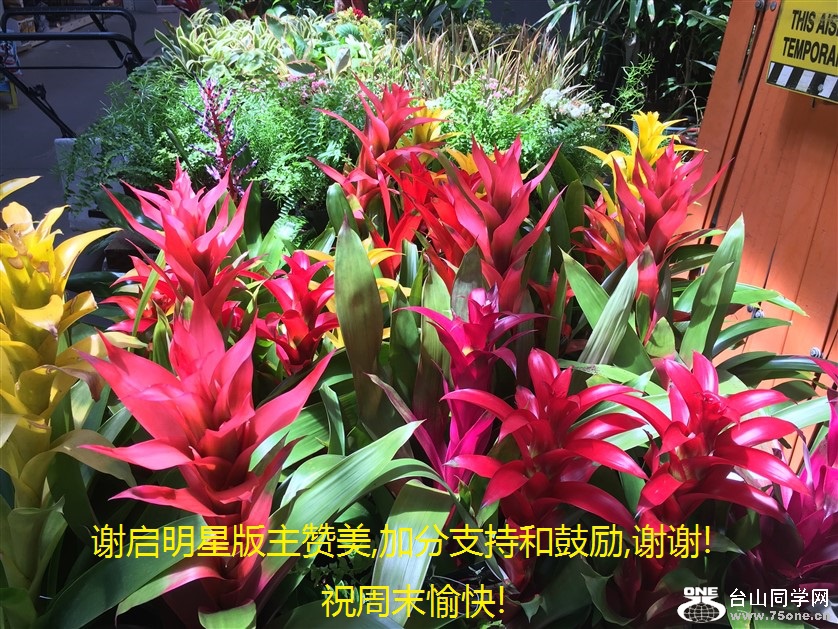 лǰ,ӷֺ֧͹,лл!ףĩ!.jpg