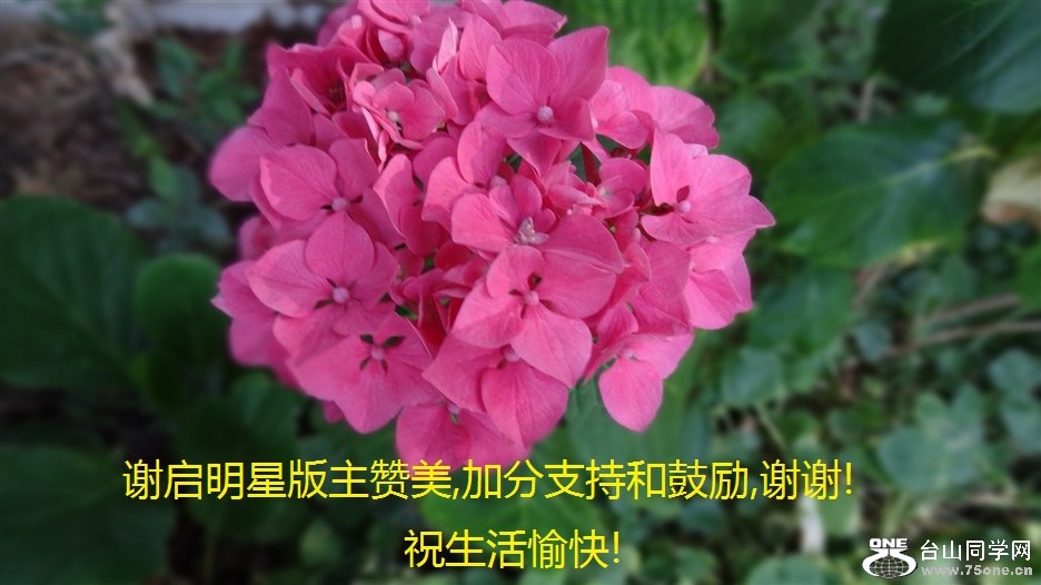 лǰ,ӷֺ֧͹,лл!ף!.jpg