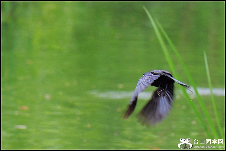DSC_0693.JPG
