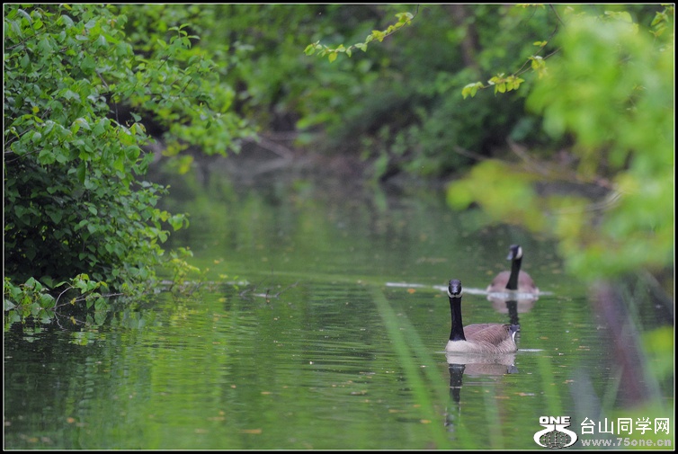 DSC_0808.JPG