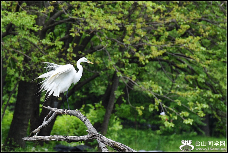 DSC_0744.JPG