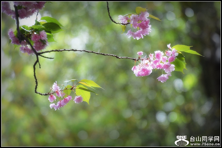 DSC_0150.jpg
