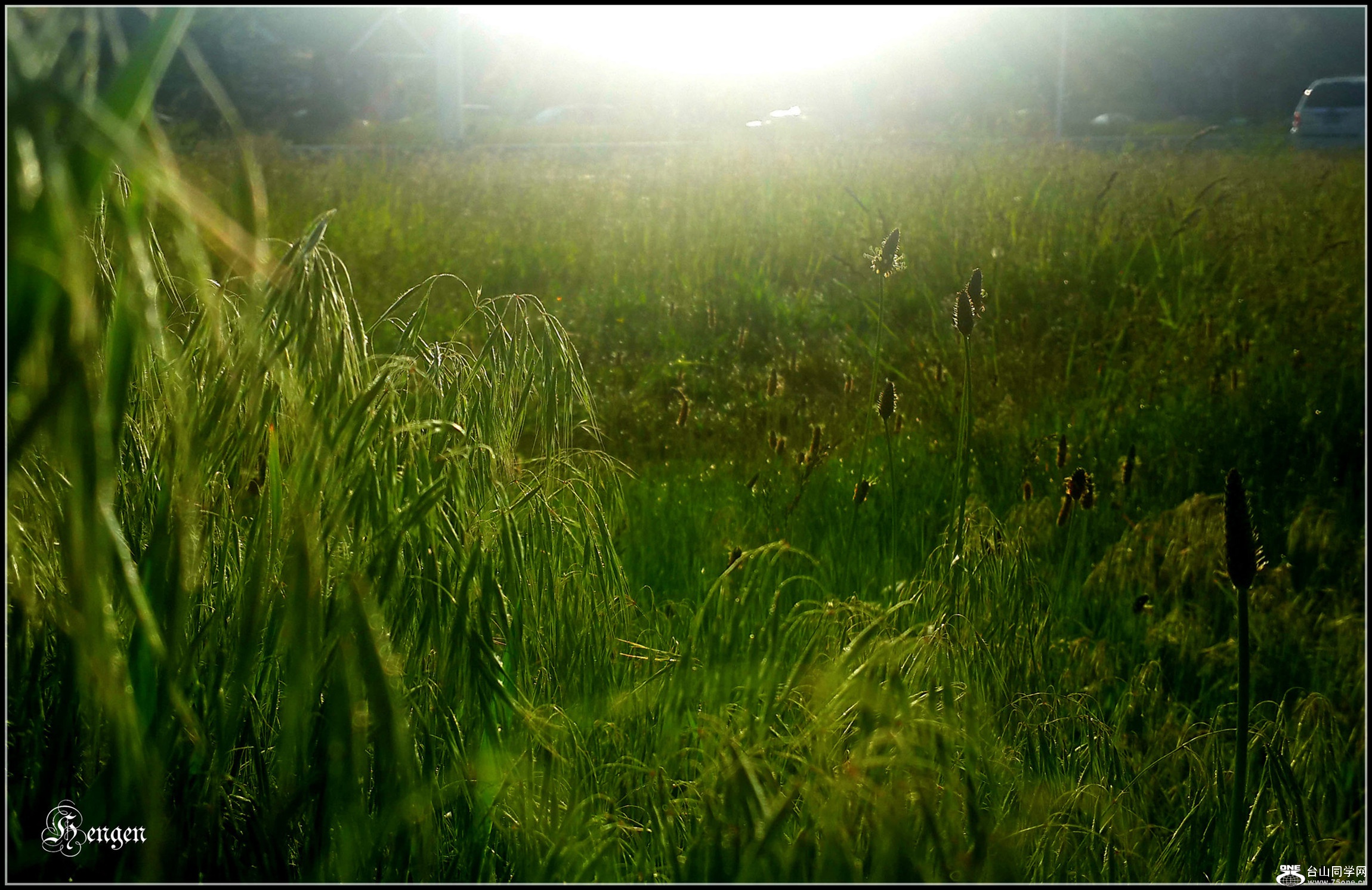 20160523_070140.jpg