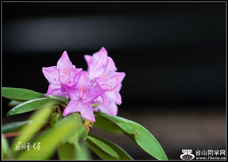 DSC_8455.jpg