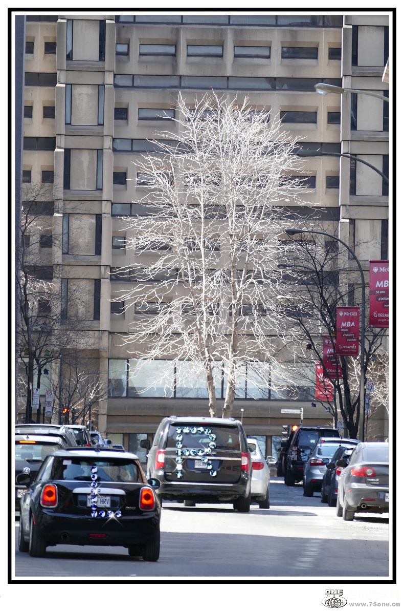 l2760991_conew1.jpg