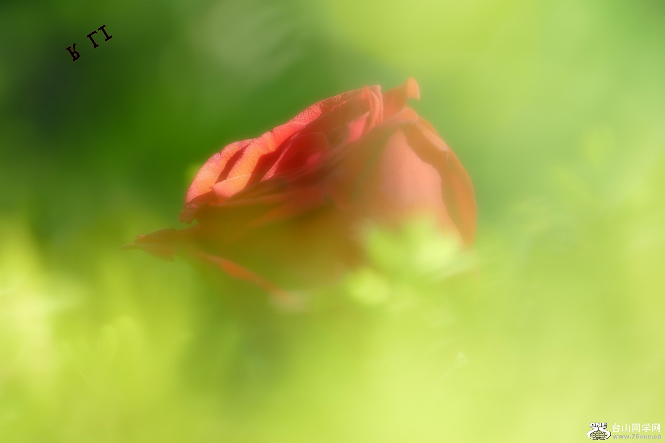 l2780715_conew1.jpg