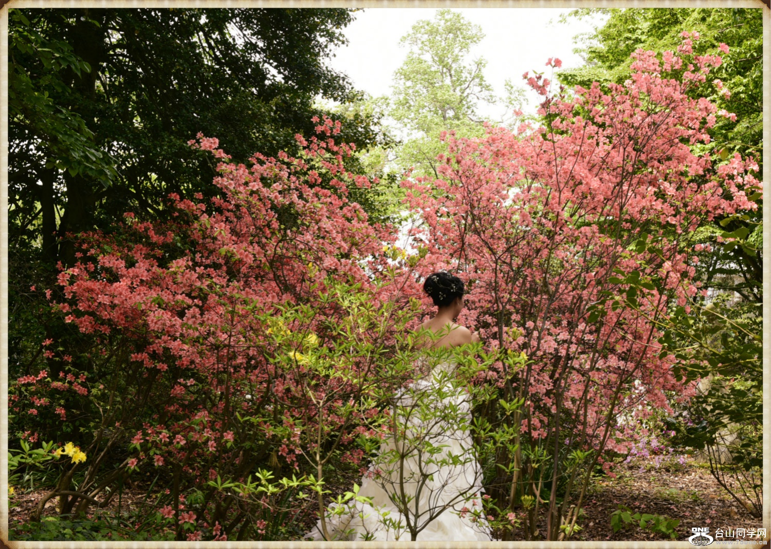 _DSC0216_meitu_2.jpg