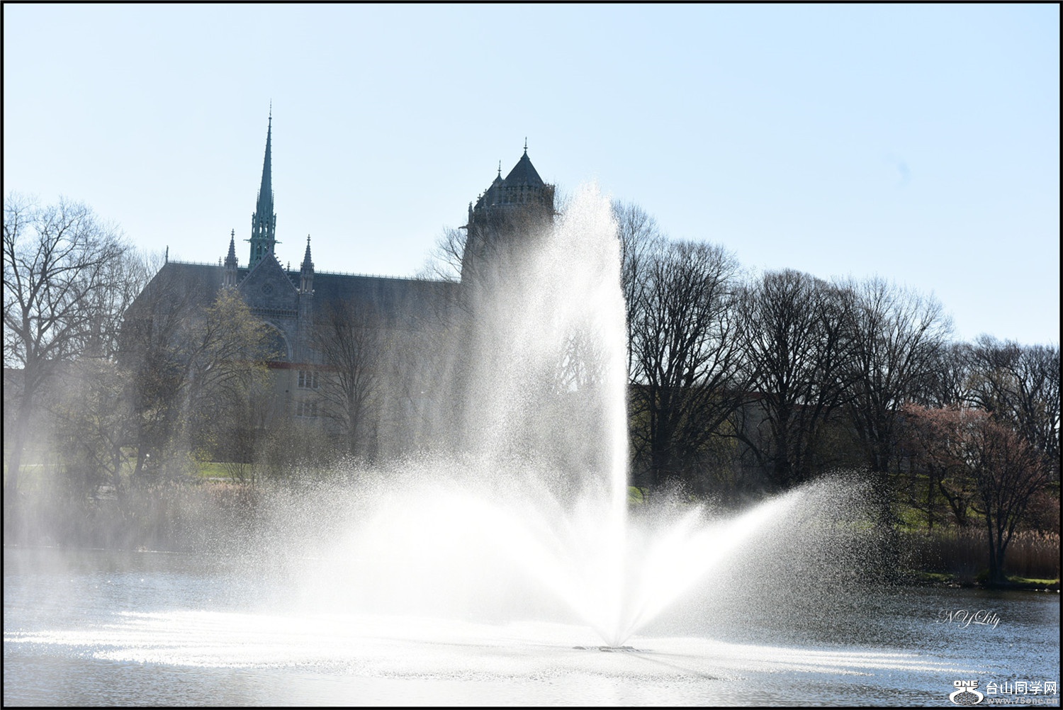 DSC_6567.JPG