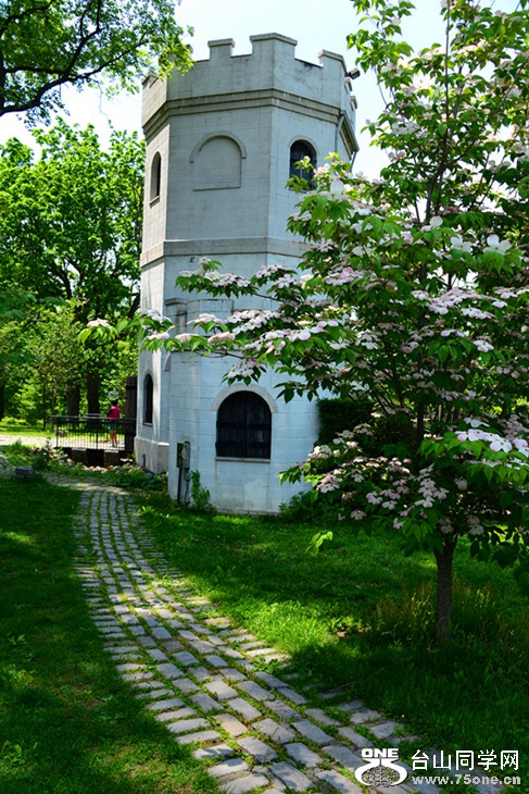 DSC_1918_.jpg