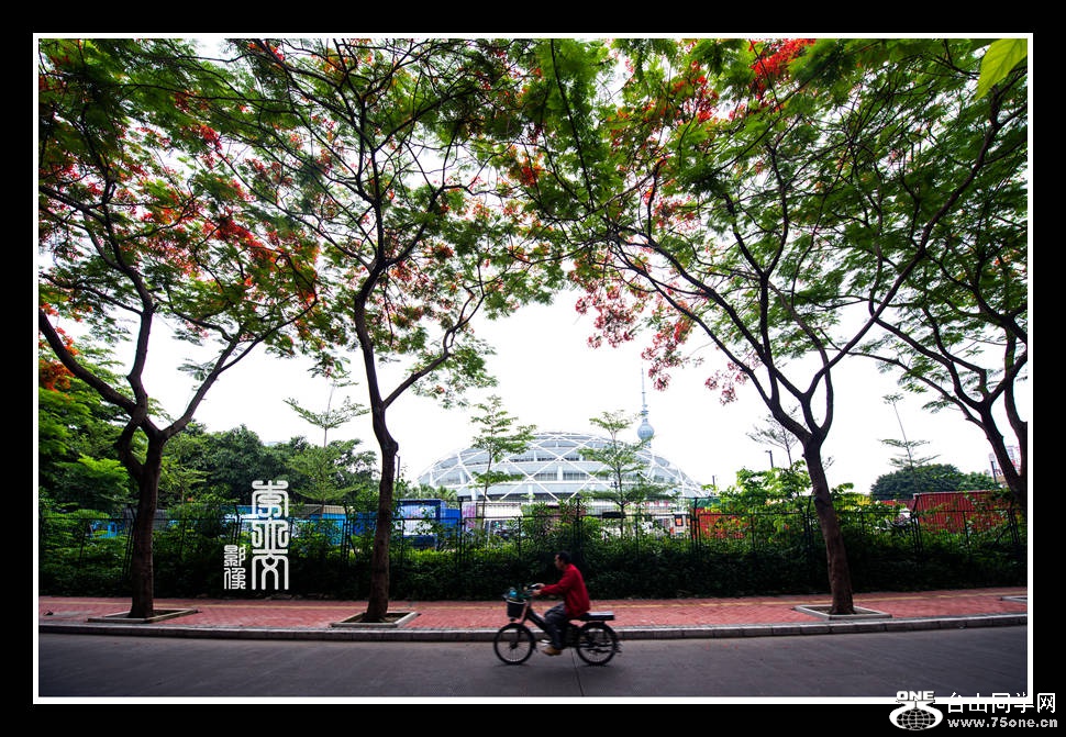 LLW_1105.jpg