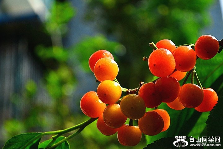9f97bdd06d224fb5a11a0c56e57f10cb_720_0_max_jpg.jpg