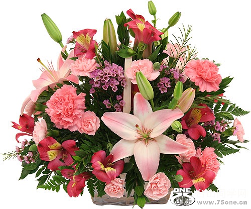 pink-flowers-in-a-basket-copy2.jpg