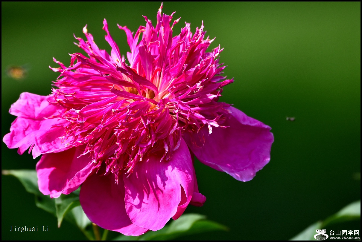 DSC_5931.jpg
