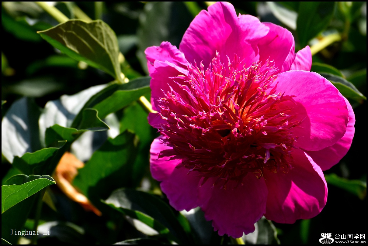 DSC_5924.jpg