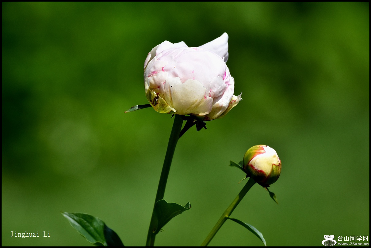 DSC_5929.jpg