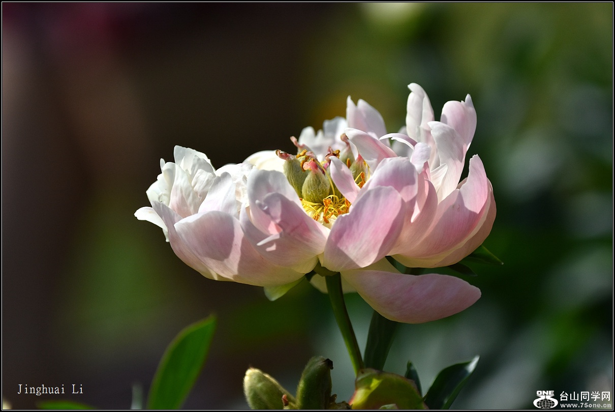 DSC_5967.jpg
