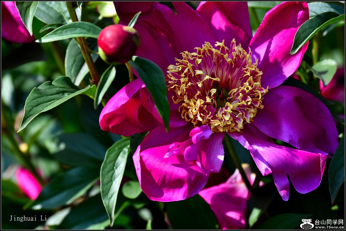 DSC_5980.jpg