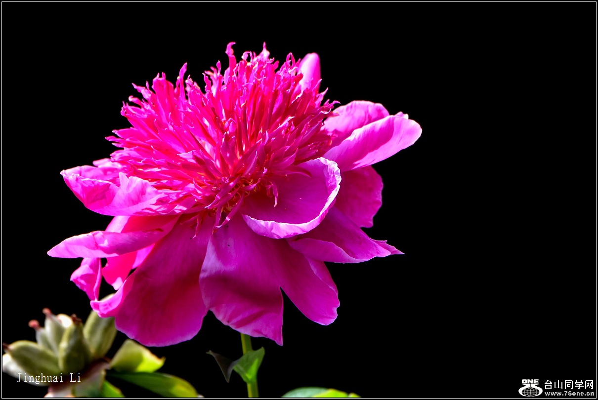 DSC_5919.jpg