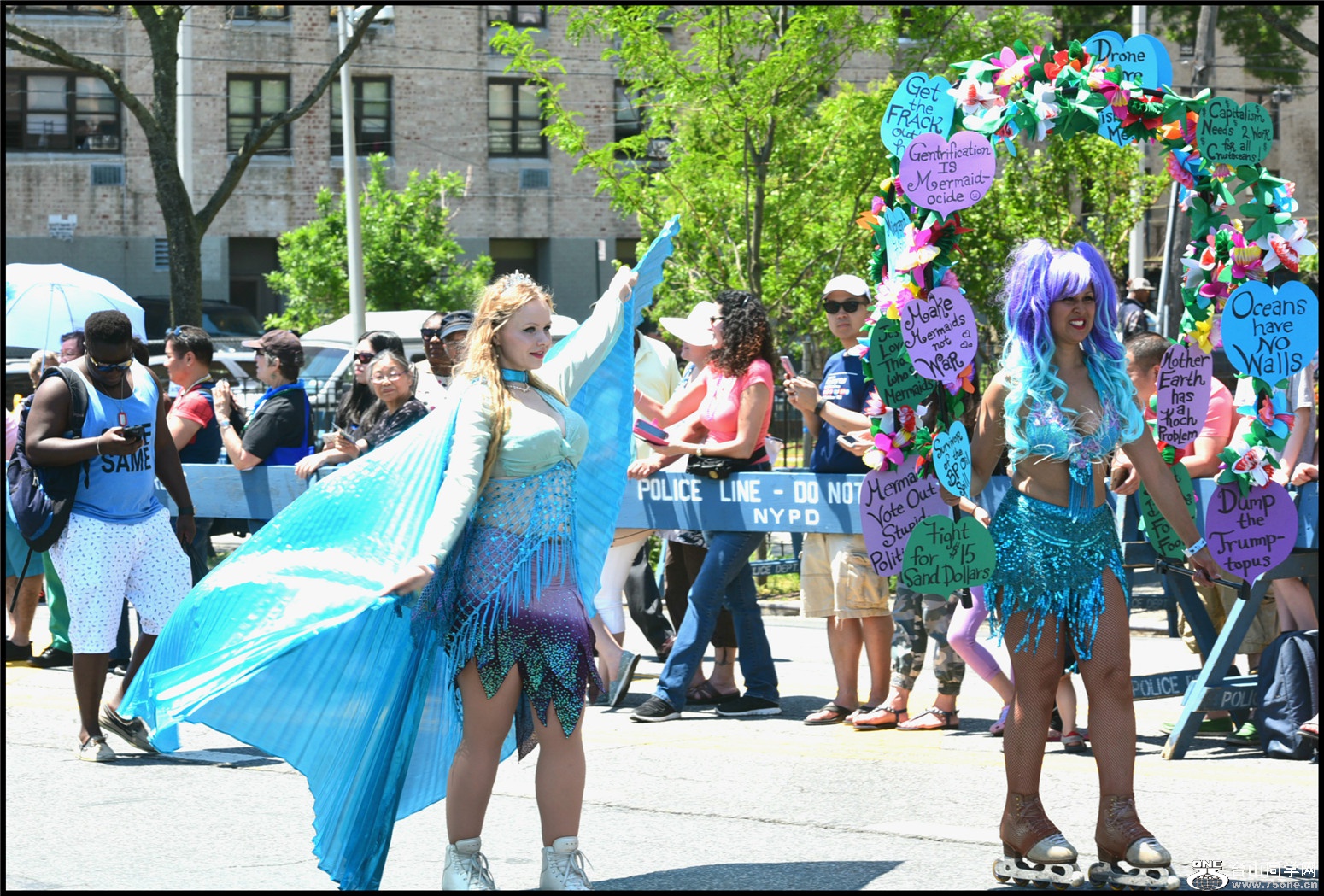 DSC_6257.JPG