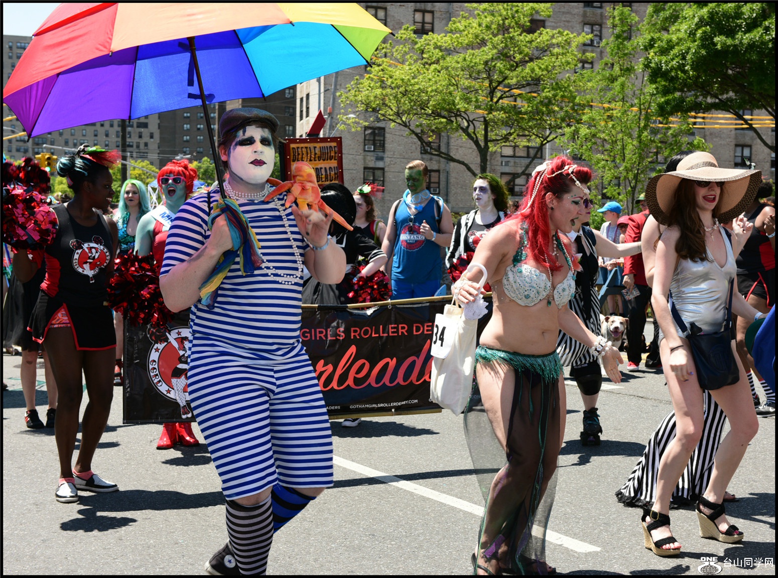 DSC_6290.JPG