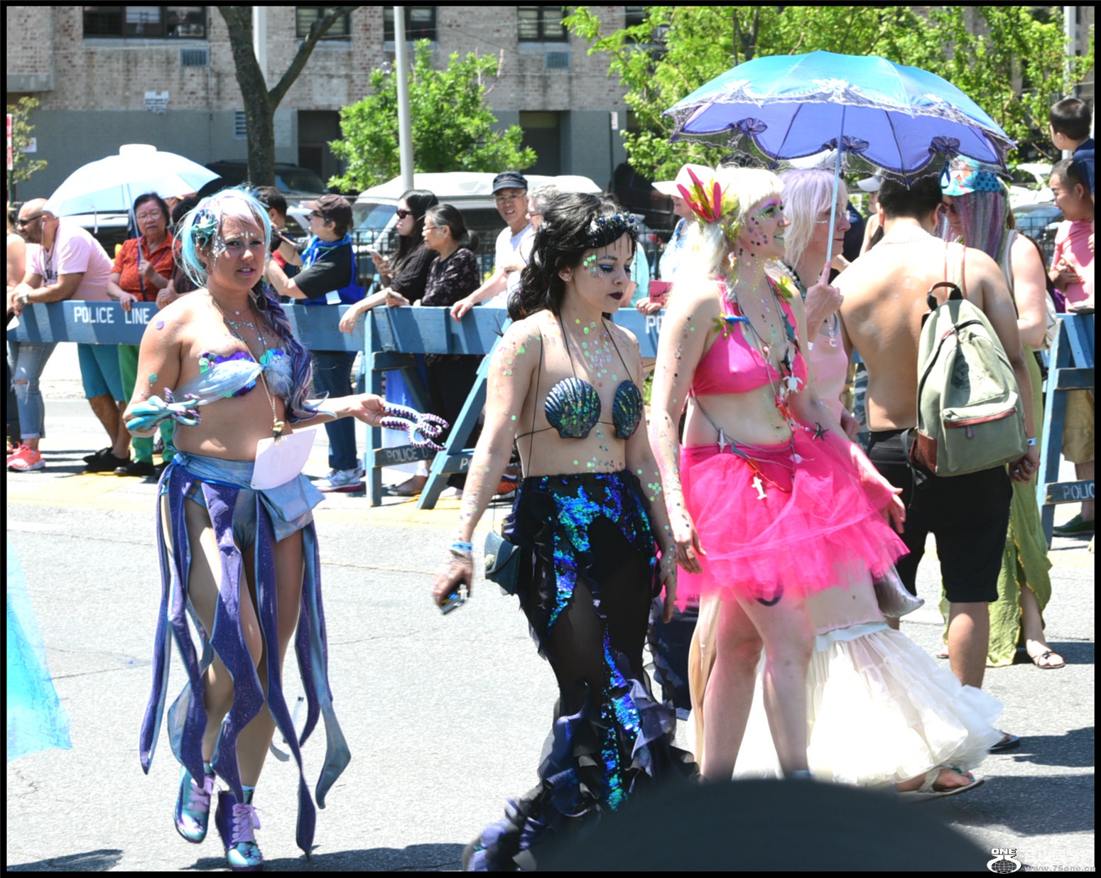 DSC_6251.JPG