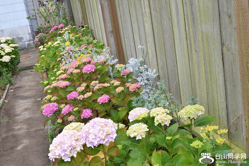 DSC_1059.JPG