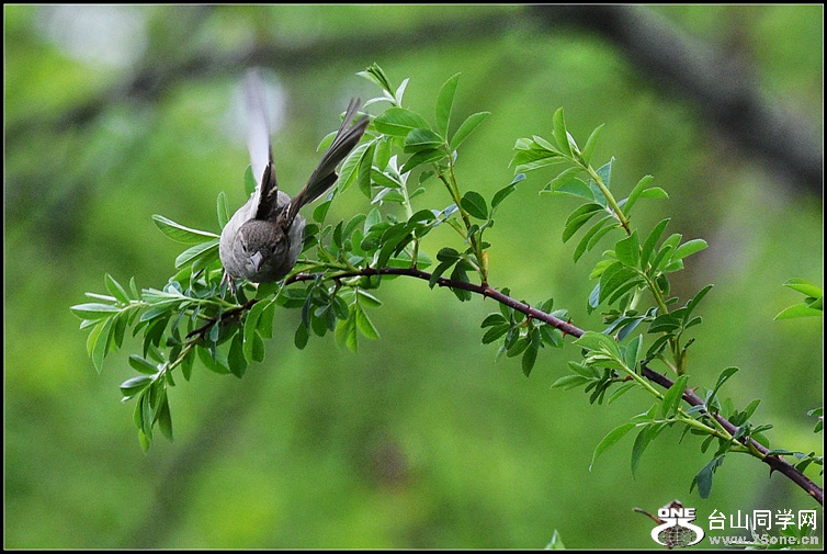 DSC_0766.JPG
