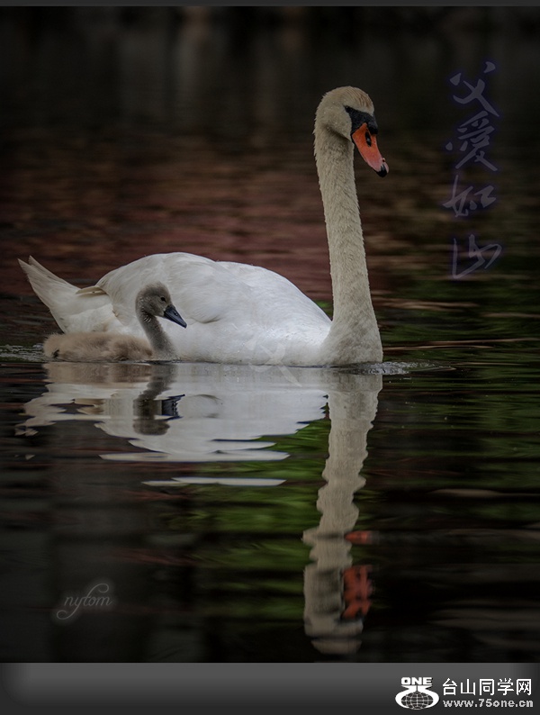 DSC_4122_.jpg