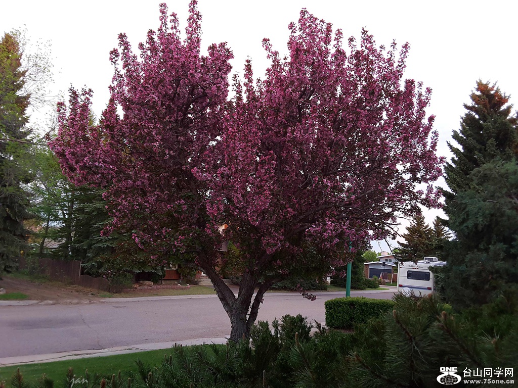 20160517_202637.jpg