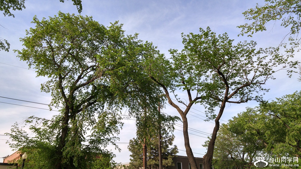 20160519_180422_HDR.jpg