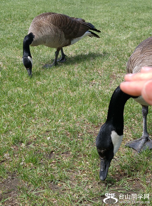 20160522_115406_HDR.jpg