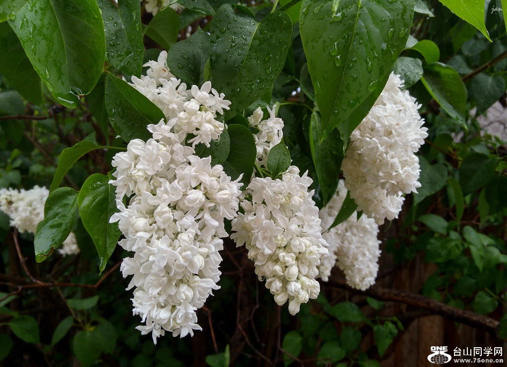 20160524_185944_HDR.jpg