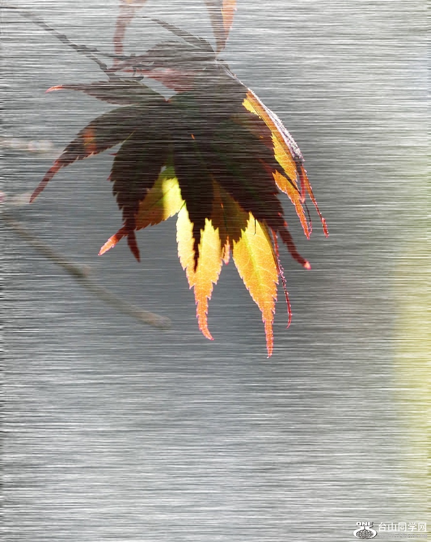 l2780769_conew2.jpg
