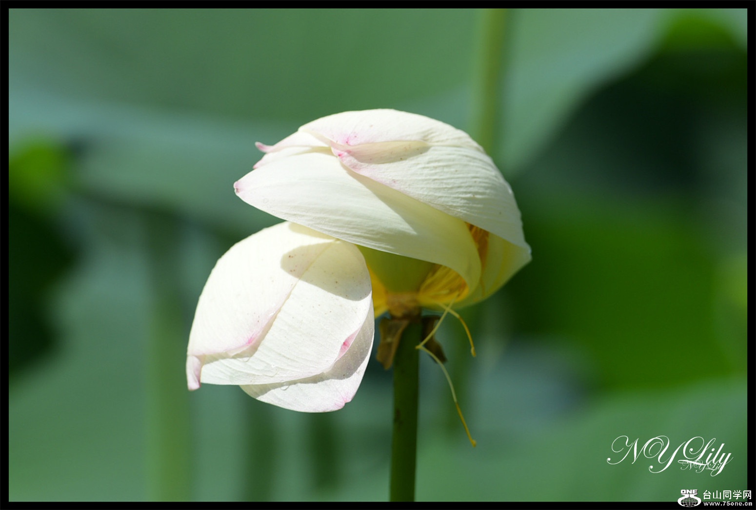 DSC_9032.JPG